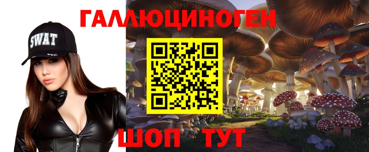 Псилоцибиновые грибы прущие грибы Салехард