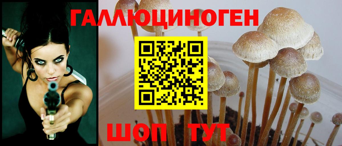 закладки  Галлюциногенные грибы Magic Shrooms  Салехард  Вход с VPN  Галлюциногенные грибы GOLDEN TEACHER 